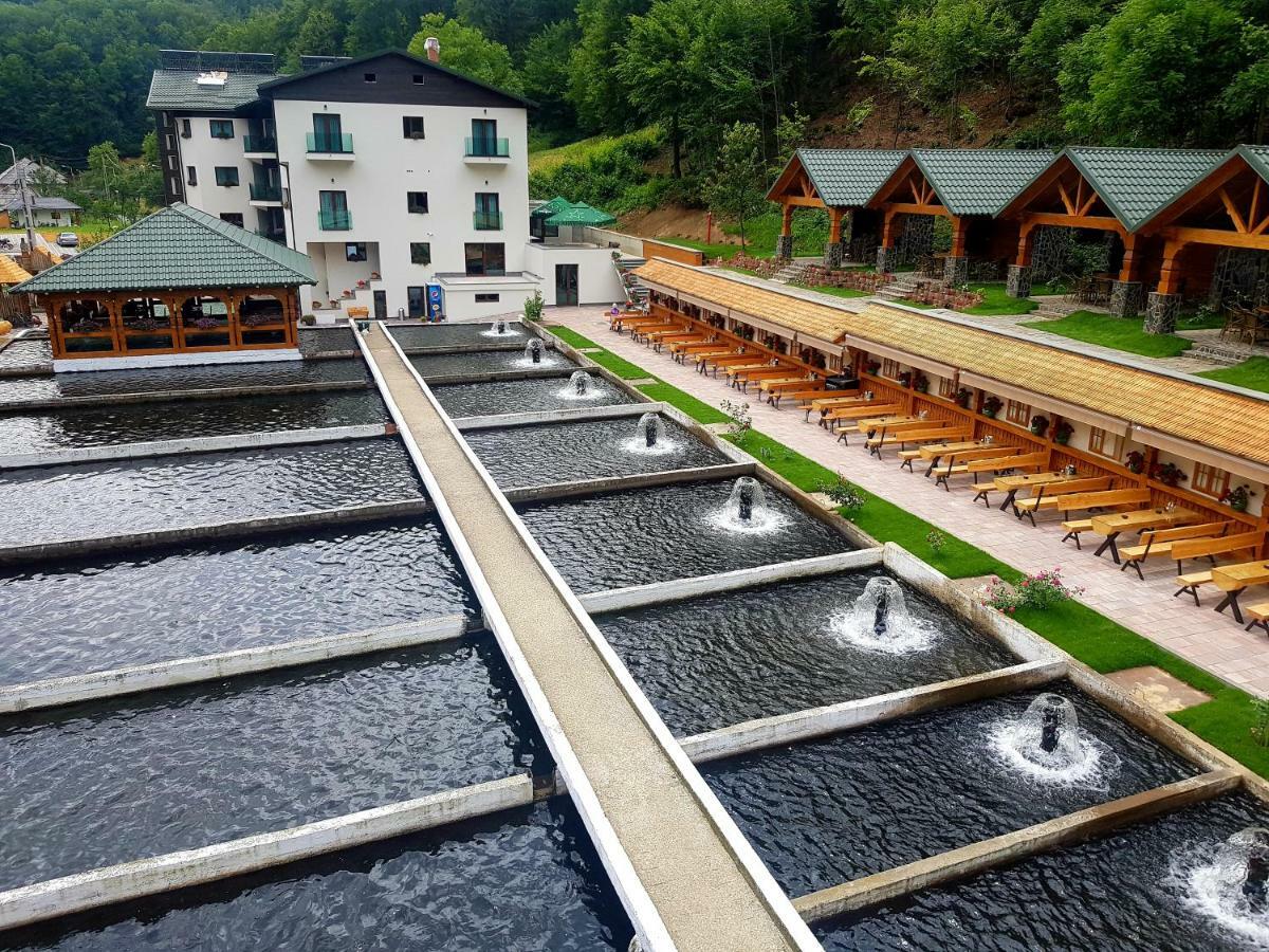 Lostrita - Pastravarie, Hotel&SPA Baia Mare Exterior foto